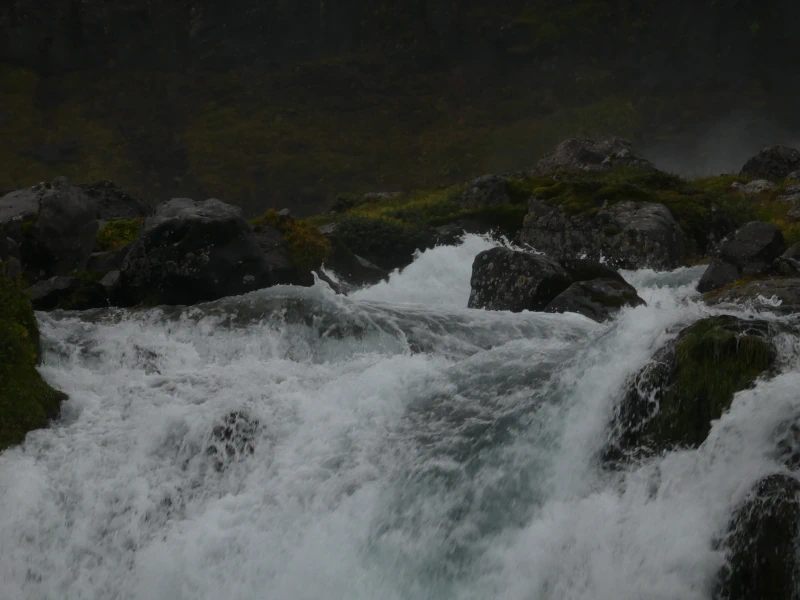 Shot on the Panasonic Lumix DMC-ZS60.