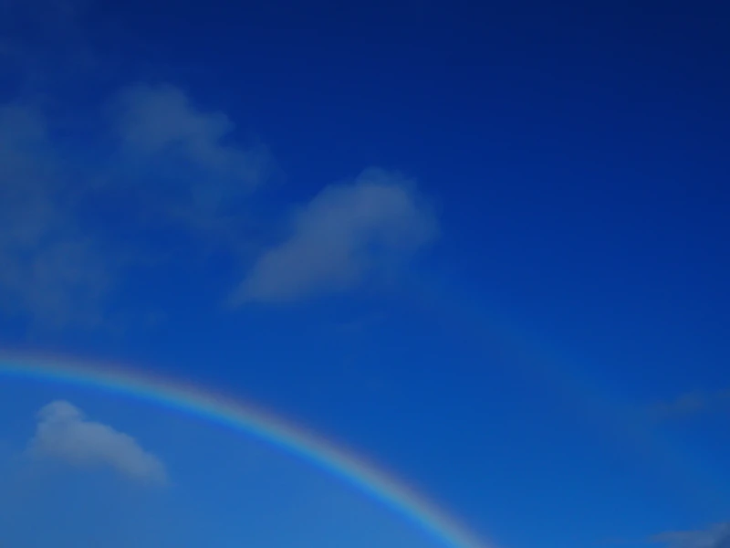 Shot on the Panasonic Lumix DMC-ZS60.